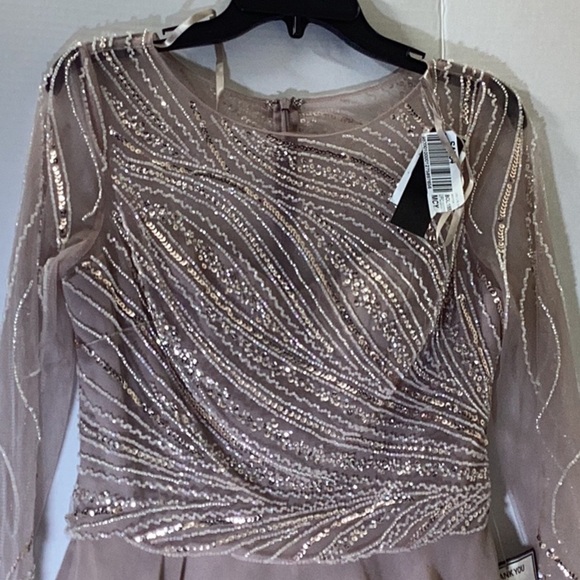 Xscape Evenings Long Chiffon Dress with Illusion Sequin Long Sleeves (Blush) - Picture 4 of 11